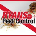 services bedbugs pest control wollongong