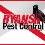 services birdspest control wollongong