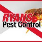 services fleas pest control wollongong