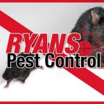 services rats mice pest control wollongong