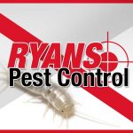 services silverfish pest control wollongong